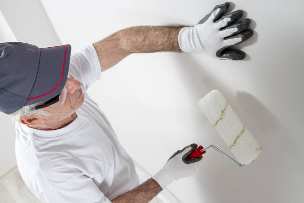 Best Mold Odor Removal Services  in St Maries, ID